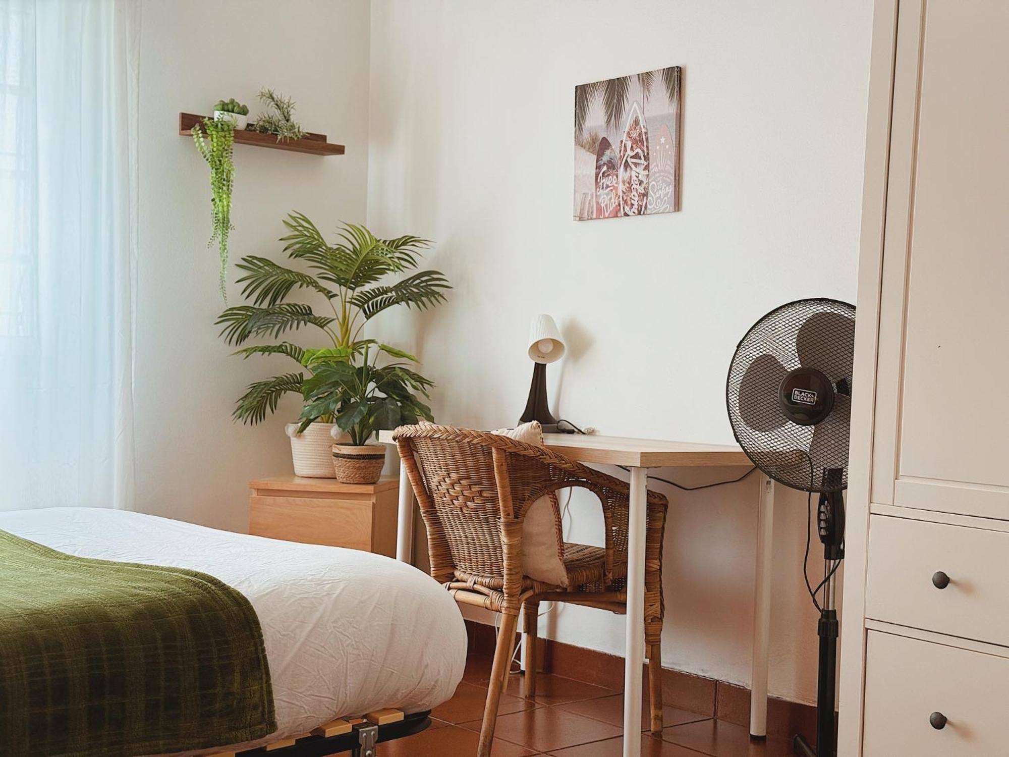 Coastal Garden Paradise Retreat- 6 Min From The Beach 차르네카 외부 사진