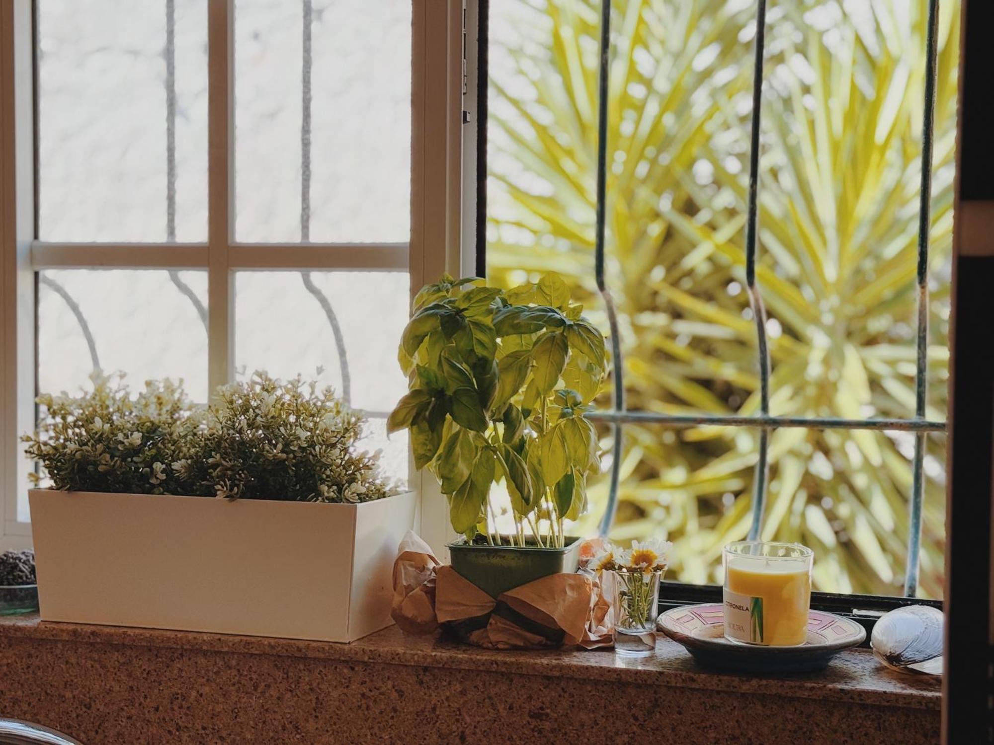 Coastal Garden Paradise Retreat- 6 Min From The Beach 차르네카 외부 사진