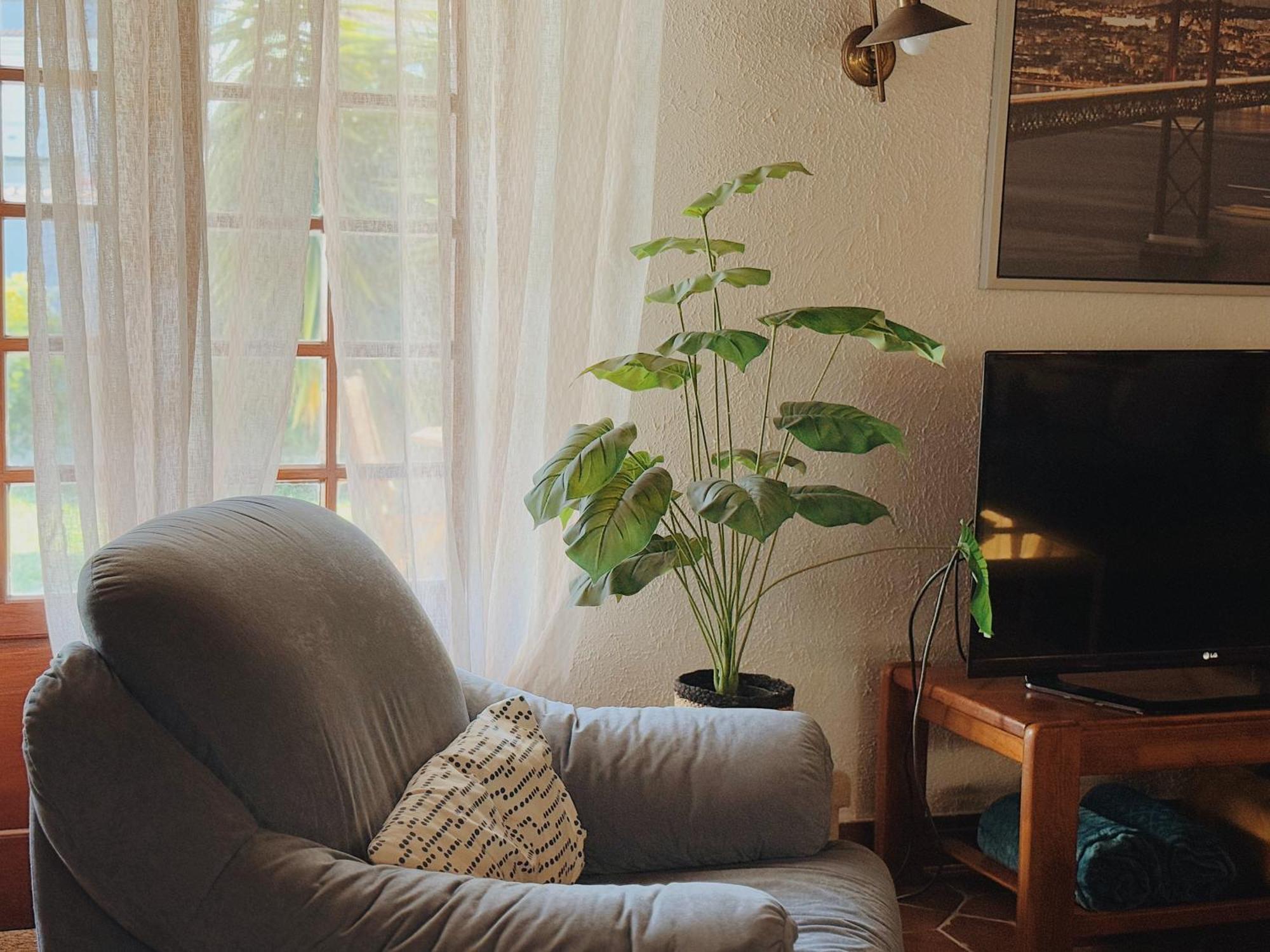 Coastal Garden Paradise Retreat- 6 Min From The Beach 차르네카 외부 사진